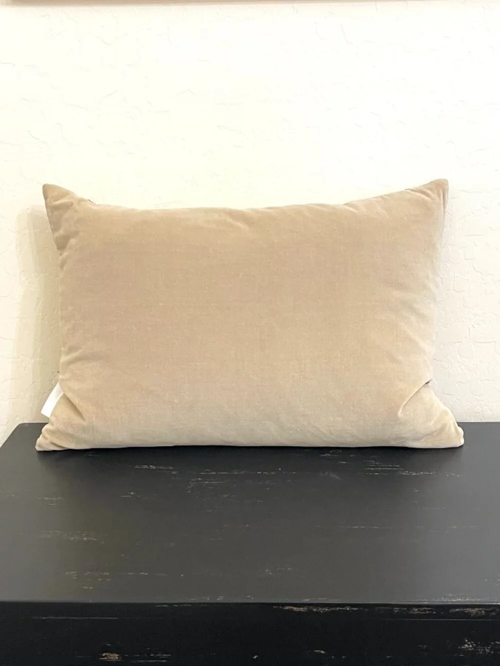 Calvin Klein Home Sequin Velour Pillow Champagne Light Gold Rectangle